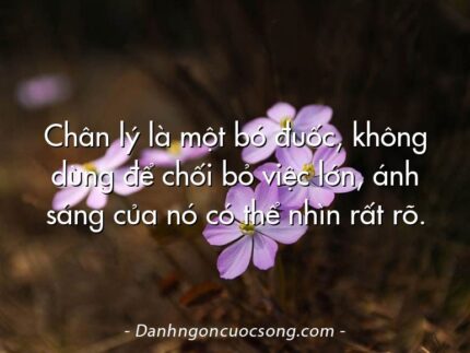 Chân lý là một bó đuốc, không dùng để chối bỏ việc lớn, ánh sáng của nó có thể nhìn rất rõ.