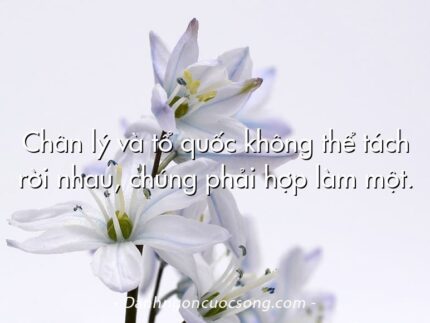 Chân lý và tổ quốc không thể tách rời nhau, chúng phải hợp làm một.
