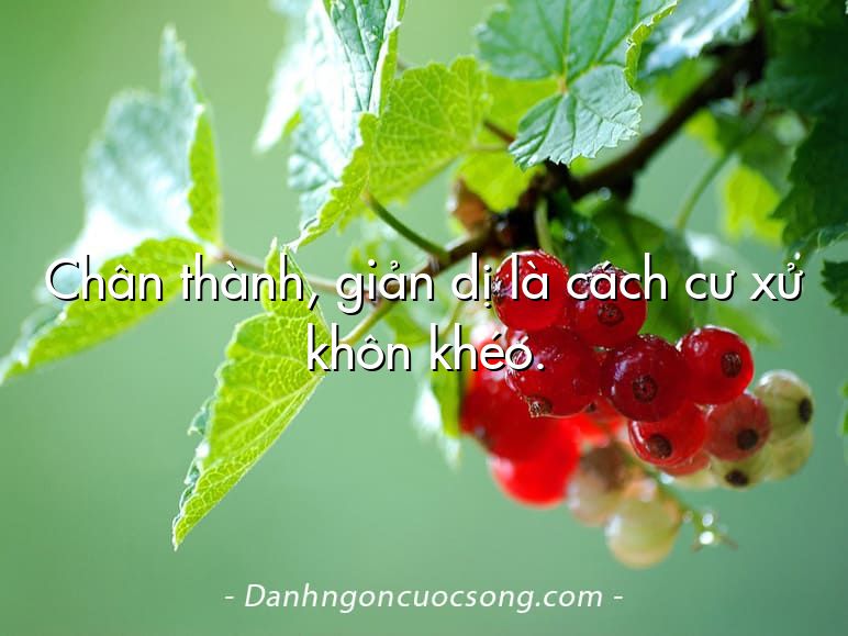 Chân thành, giản dị là cách cư xử khôn khéo.