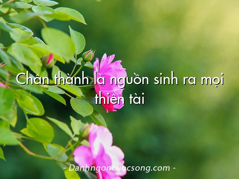 Chân thành là nguồn sinh ra mọi thiên tài