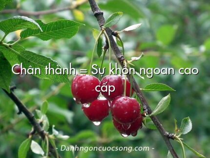 Chân thành = Sự khôn ngoan cao cấp