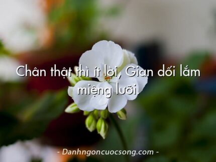 Chân thật thì ít lời, Gian dối lắm miệng lưỡi.