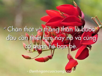 Chân thật và thẳng thắn là bước đầu cần thiết làm nảy nở và củng cố quan hệ bạn bè.