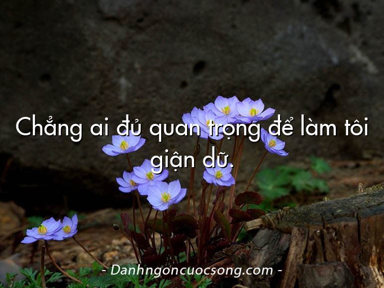 Chẳng ai đủ quan trọng để làm tôi giận dữ.