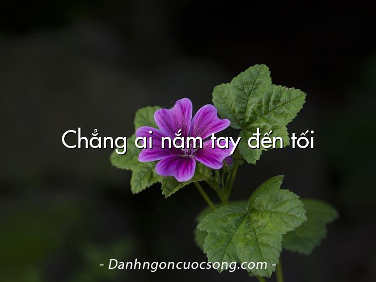 Chẳng ai nắm tay đến tối