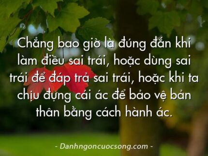 Chẳng bao giờ là đúng đắn khi làm điều sai trái, hoặc dùng sai trái để đáp trả sai trái, hoặc khi ta chịu đựng cái ác để bảo vệ bản thân bằng cách hành ác.
