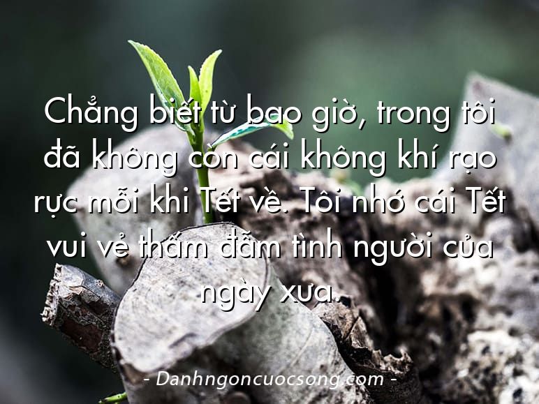 Chẳng biết từ bao giờ, trong tôi đã không còn cái không khí rạo rực mỗi khi Tết về. Tôi nhớ cái Tết vui vẻ thấm đẫm tình người của ngày xưa.