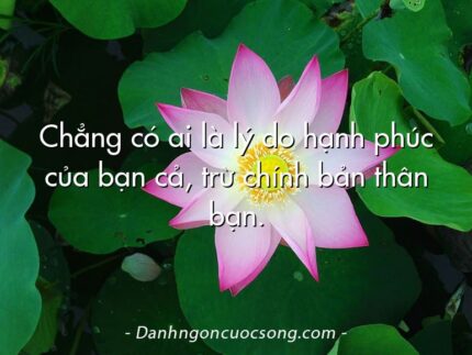 Chẳng có ai là lý do hạnh phúc của bạn cả, trừ chính bản thân bạn.