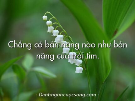 Chẳng có bản năng nào như bản năng của trái tim.