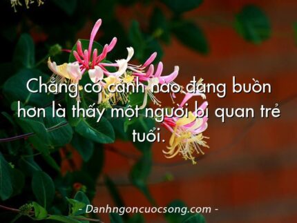 Chẳng có cảnh nào đáng buồn hơn là thấy một người bi quan trẻ tuổi.