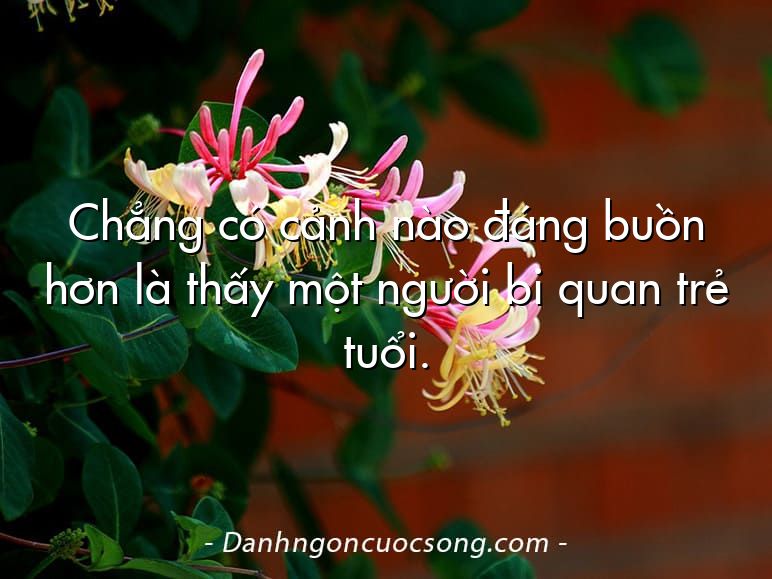 Chẳng có cảnh nào đáng buồn hơn là thấy một người bi quan trẻ tuổi.