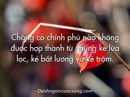 Chẳng có chính phủ nào không được hợp thành từ những kẻ lừa lọc, kẻ bất lương và kẻ trộm.