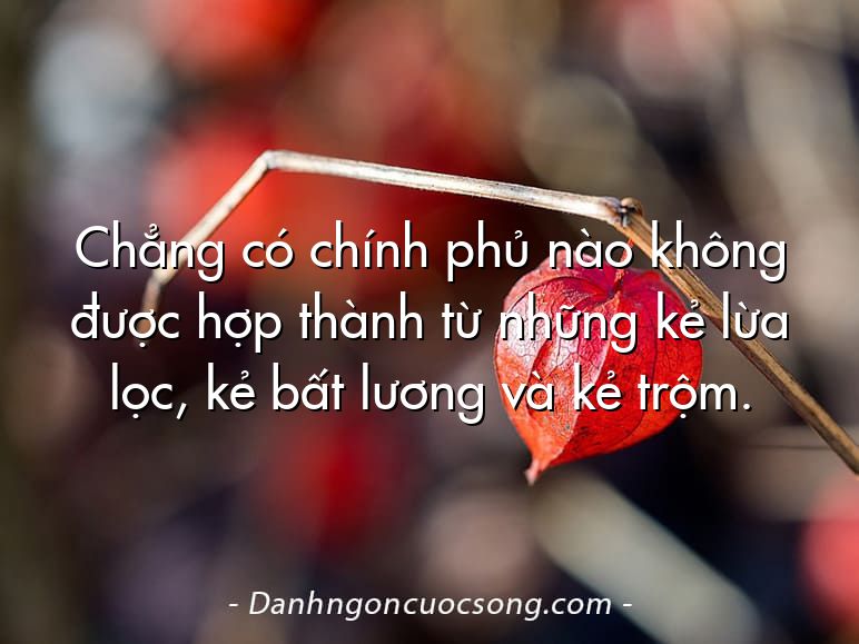 Chẳng có chính phủ nào không được hợp thành từ những kẻ lừa lọc, kẻ bất lương và kẻ trộm.