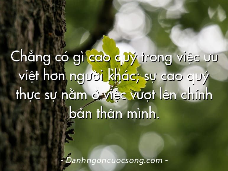 Chẳng có gì cao quý trong việc ưu việt hơn người khác; sự cao quý thực sự nằm ở việc vượt lên chính bản thân mình.