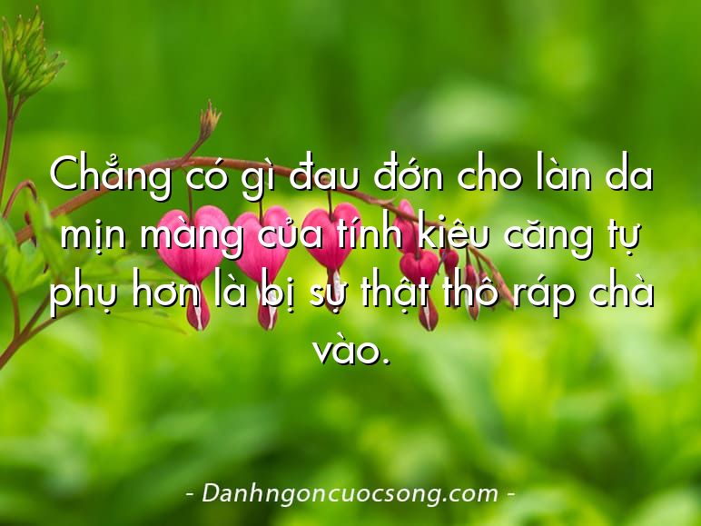 Chẳng có gì đau đớn cho làn da mịn màng của tính kiêu căng tự phụ hơn là bị sự thật thô ráp chà vào.