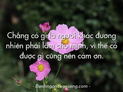 Chẳng có gì là người khác đương nhiên phải làm cho mình, vì thế có được gì cũng nên cảm ơn.