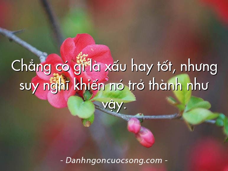 Chẳng có gì là xấu hay tốt, nhưng suy nghĩ khiến nó trở thành như vậy.