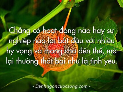 Chẳng có hoạt động nào hay sự nghiệp nào lại bắt đầu với nhiều hy vọng và mong chờ đến thế, mà lại thường thất bại như là tình yêu.