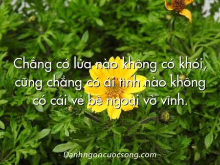 Chẳng có lửa nào không có khói, cũng chẳng có ái tình nào không có cái vẻ bề ngoài vờ vĩnh.