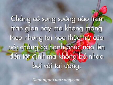 Chẳng có sung sướng nào trên trần gian này mà không mang theo những tai họa thừa trừ của nó; chẳng có hạnh phúc nào lên đến tột đỉnh mà không bổ nhào bởi vài tai ương.