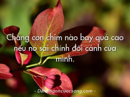 Chẳng con chim nào bay quá cao nếu nó sải chính đôi cánh của mình.