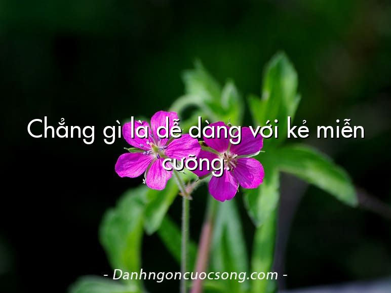 Chẳng gì là dễ dàng với kẻ miễn cưỡng.