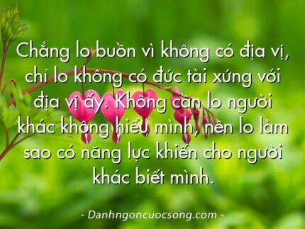 Chẳng lo buồn vì không có địa vị, chỉ lo không có đức tài xứng với địa vị ấy. Không cần lo người khác không hiểu mình, nên lo làm sao có năng lực khiến cho người khác biết mình.