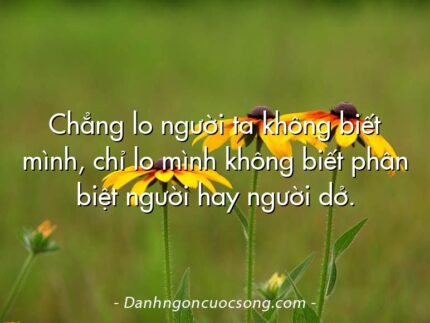 Chẳng lo người ta không biết mình, chỉ lo mình không biết phân biệt người hay người dở.