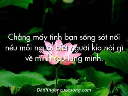 Chẳng mấy tình bạn sống sót nổi nếu mỗi người biết người kia nói gì về mình sau lưng mình.
