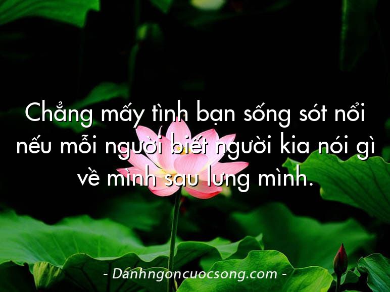 Chẳng mấy tình bạn sống sót nổi nếu mỗi người biết người kia nói gì về mình sau lưng mình.