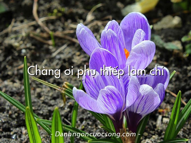 Chàng ơi phụ thiếp làm chi