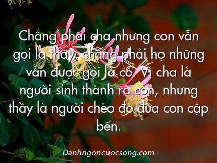 Chẳng phải cha nhưng con vẫn gọi là thầy, chẳng phải họ những vẫn được gọi là cô. Vì cha là người sinh thành ra con, nhưng thầy là người chèo đò đưa con cập bến.
