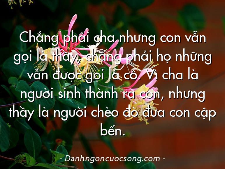 Chẳng phải cha nhưng con vẫn gọi là thầy, chẳng phải họ những vẫn được gọi là cô. Vì cha là người sinh thành ra con, nhưng thầy là người chèo đò đưa con cập bến.