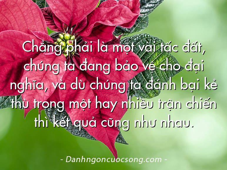 Chẳng phải là một vài tấc đất, chúng ta đang bảo vệ cho đại nghĩa, và dù chúng ta đánh bại kẻ thù trong một hay nhiều trận chiến thì kết quả cũng như nhau.