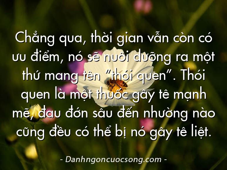 Chẳng qua, thời gian vẫn còn có ưu điểm, nó sẽ nuôi dưỡng ra một thứ mang tên “thói quen”. Thói quen là một thuốc gây tê mạnh mẽ, đau đớn sâu đến nhường nào cũng đều có thể bị nó gây tê liệt.
