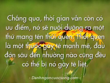 Chẳng qua, thời gian vẫn còn có ưu điểm, nó sẽ nuôi dưỡng ra một thứ mang tên thói quen. Thói quen là một thuốc gây tê mạnh mẽ, đau đớn sâu đến nhường nào cũng đều có thể bị nó gây tê liệt.
