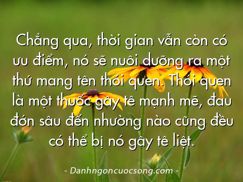 Chẳng qua, thời gian vẫn còn có ưu điểm, nó sẽ nuôi dưỡng ra một thứ mang tên thói quen. Thói quen là một thuốc gây tê mạnh mẽ, đau đớn sâu đến nhường nào cũng đều có thể bị nó gây tê liệt.