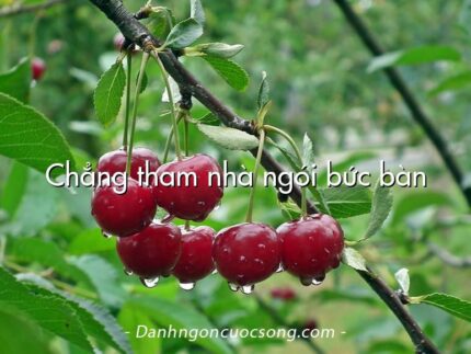 Chẳng tham nhà ngói bức bàn