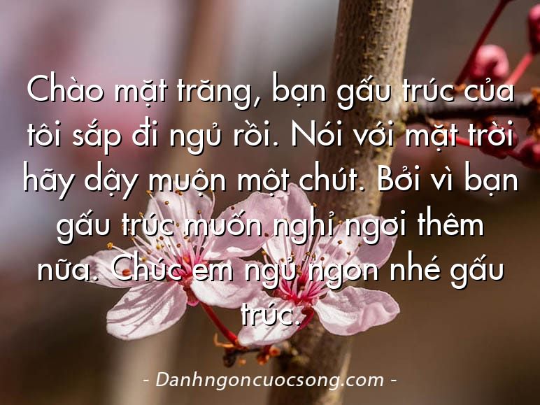 Chào mặt trăng, bạn gấu trúc của tôi sắp đi ngủ rồi. Nói với mặt trời hãy dậy muộn một chút. Bởi vì bạn gấu trúc muốn nghỉ ngơi thêm nữa. Chúc em ngủ ngon nhé gấu trúc.