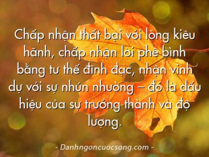Chấp nhận thất bại với lòng kiêu hãnh, chấp nhận lời phê bình bằng tư thế đĩnh đạc, nhận vinh dự với sự nhún nhường – đó là dấu hiệu của sự trưởng thành và độ lượng.