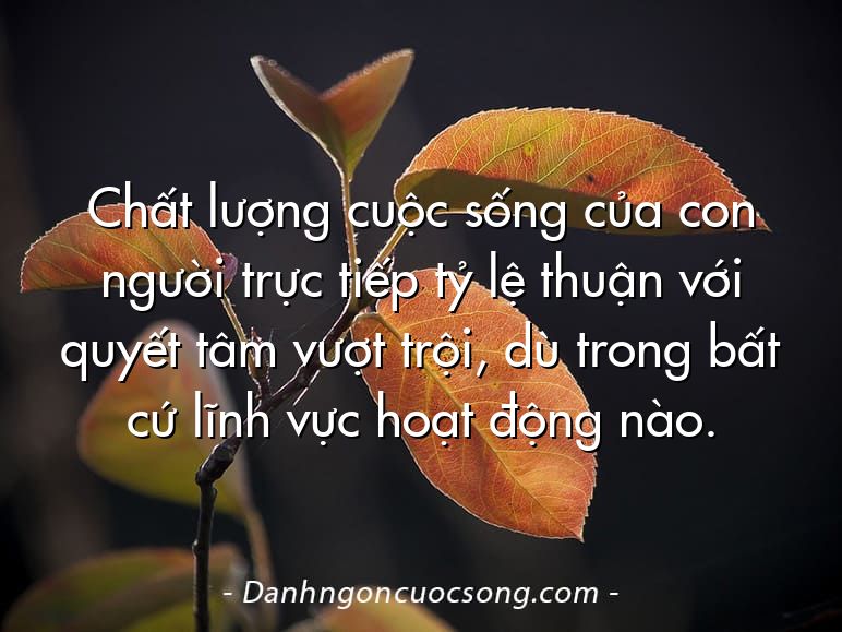 Chất lượng cuộc sống của con người trực tiếp tỷ lệ thuận với quyết tâm vượt trội, dù trong bất cứ lĩnh vực hoạt động nào.