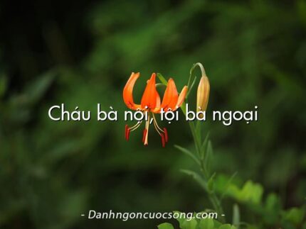 Cháu bà nội, tội bà ngoại