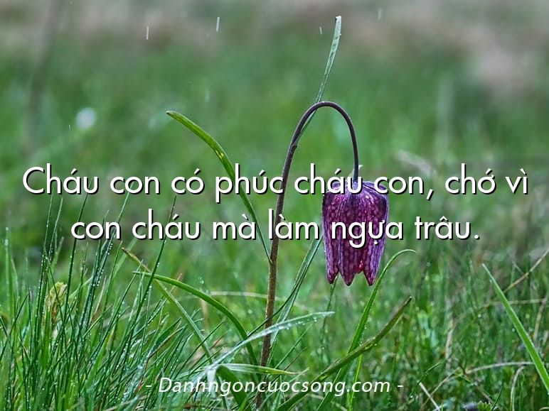 Cháu con có phúc cháu con, chớ vì con cháu mà làm ngựa trâu.