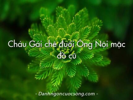 Cháu Gái chê đuổi Ông Nội mặc đồ cũ
