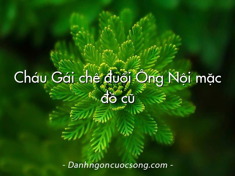 Cháu Gái chê đuổi Ông Nội mặc đồ cũ