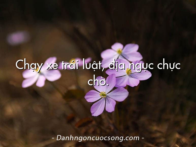 Chạy xe trái luật, địa ngục chực chờ.