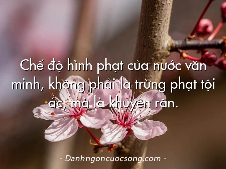 Chế độ hình phạt của nước văn minh, không phải là trừng phạt tội ác, mà là khuyên răn.