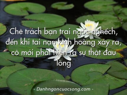Chê trách bạn trai ngốc nghếch, đến khi tai nạn kinh hoàng xảy ra, cô mới phát hiện ra sự thật đau lòng