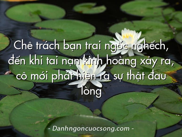 Chê trách bạn trai ngốc nghếch, đến khi tai nạn kinh hoàng xảy ra, cô mới phát hiện ra sự thật đau lòng