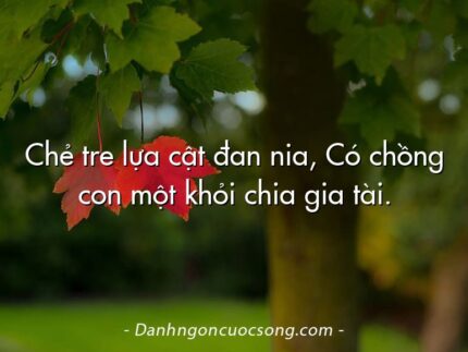 Chẻ tre lựa cật đan nia, Có chồng con một khỏi chia gia tài.